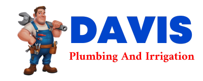 Trusted plumber in MINERAL WELLS